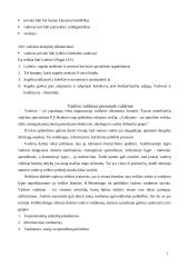 Vadovo vaidmuo viešajame sektoriuje 7 puslapis