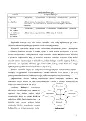 Vadovo vaidmuo viešajame sektoriuje 9 puslapis