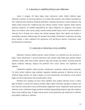 Lokomotyvų stabdžių sistema 13 puslapis