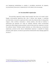 Vaiko teisių apsaugos institucijos Lietuvoje 11 puslapis