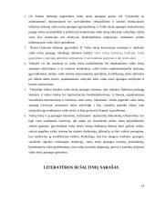 Vaiko teisių apsaugos institucijos Lietuvoje 19 puslapis