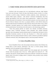Vaiko teisių apsaugos institucijos Lietuvoje 3 puslapis