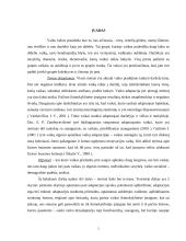 Vaikų adaptacijos ikimokyklinėje įstaigoje sunkumų prielaidos 5 puslapis