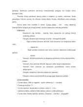 Vaikų adaptacijos ikimokyklinėje įstaigoje sunkumų prielaidos 6 puslapis