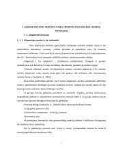 Vaikų adaptacijos ikimokyklinėje įstaigoje sunkumų prielaidos 7 puslapis