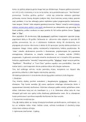 Vaizdo plokštės 5 puslapis