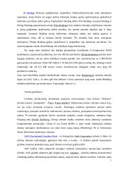 Vaizdo plokštės 7 puslapis