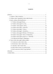Valdymo stilių apžvalga 2 puslapis