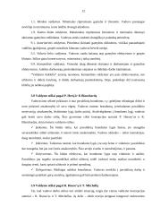 Valdymo stilių apžvalga 12 puslapis
