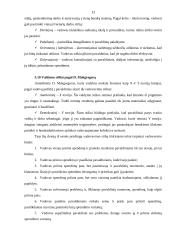 Valdymo stilių apžvalga 13 puslapis