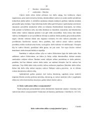 Valdymo stilių apžvalga 20 puslapis