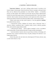 Valdymo stilių apžvalga 4 puslapis