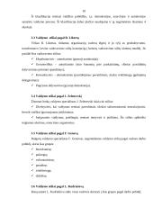Valdymo stilių apžvalga 10 puslapis