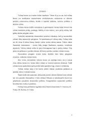 Valiutų kursas ir jį sąlygojantys veiksniai 3 puslapis