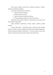 Valiutų kursas ir jį sąlygojantys veiksniai 4 puslapis