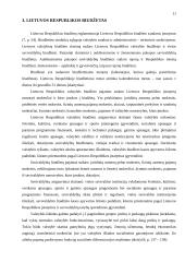 Valstybės biudžetas ir jo deficito problema 11 puslapis