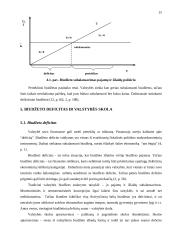 Valstybės biudžetas ir jo deficito problema 15 puslapis