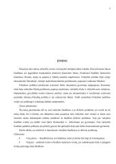 Valstybės biudžetas ir jo deficito problema 5 puslapis