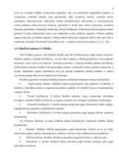 Valstybės biudžetas ir jo deficito problema 8 puslapis