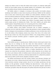 Valstybės biudžetas ir jo formavimo principai 11 puslapis