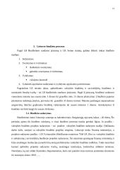 Valstybės biudžetas ir jo formavimo principai 13 puslapis