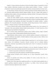 Valstybės biudžetas ir jo formavimo principai 16 puslapis