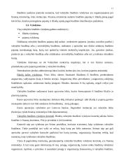 Valstybės biudžetas ir jo formavimo principai 17 puslapis