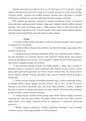 Valstybės biudžetas ir jo formavimo principai 19 puslapis
