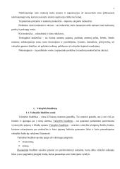 Valstybės biudžetas ir jo formavimo principai 3 puslapis