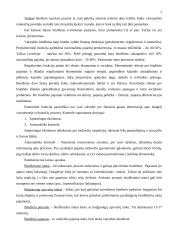 Valstybės biudžetas ir jo formavimo principai 4 puslapis