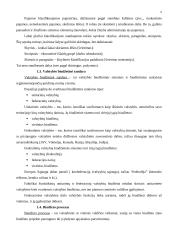 Valstybės biudžetas ir jo formavimo principai 6 puslapis