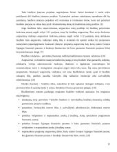 Valstybės biudžeto teorijos vertinimas: A. Moravskis 15 puslapis