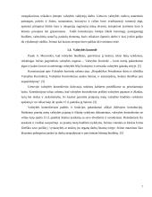 Valstybės biudžeto teorijos vertinimas: A. Moravskis 7 puslapis