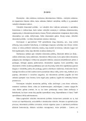 Valstybės ekonominė politika ir jos tikslai 2 puslapis