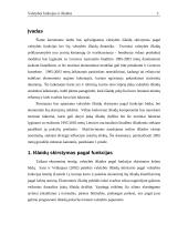 Valstybės funkcijos ir išlaidos 3 puslapis