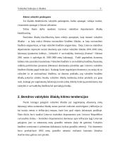 Valstybės funkcijos ir išlaidos 5 puslapis