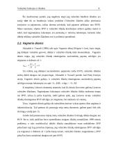 Valstybės funkcijos ir išlaidos 8 puslapis