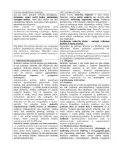 Valstybės mokestinių pajamų samprata 11 puslapis