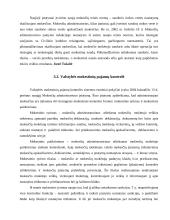 Valstybės mokestinių pajamų samprata 13 puslapis