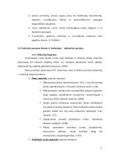 Valstybės parama smulkaus ir vidutinio verslo (SVV) plėtrai 11 puslapis