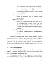 Valstybės parama smulkaus ir vidutinio verslo (SVV) plėtrai 12 puslapis