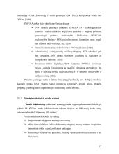 Valstybės parama smulkaus ir vidutinio verslo (SVV) plėtrai 13 puslapis