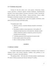 Valstybės parama smulkaus ir vidutinio verslo (SVV) plėtrai 17 puslapis