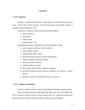 Valstybės parama smulkaus ir vidutinio verslo (SVV) plėtrai 6 puslapis