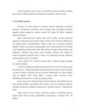 Valstybės parama smulkaus ir vidutinio verslo (SVV) plėtrai 7 puslapis