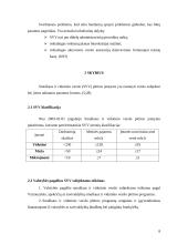 Valstybės parama smulkaus ir vidutinio verslo (SVV) plėtrai 8 puslapis