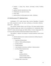 Valstybės parama smulkaus ir vidutinio verslo (SVV) plėtrai 10 puslapis