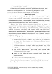 Valstybės piniginių išteklių struktūra 13 puslapis