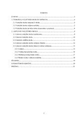 Valstybės skola: priežastys ir pasekmės 2 puslapis