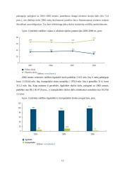 Valstybės skola: priežastys ir pasekmės 13 puslapis